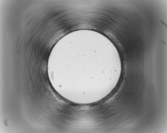 X0000099320841200805301214