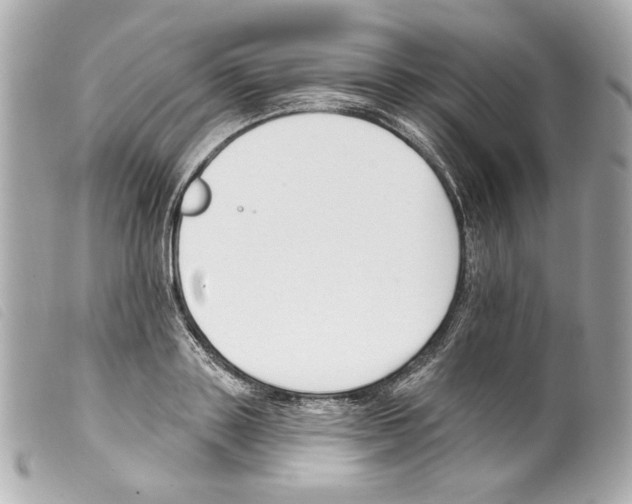 X0000099320843200805301214