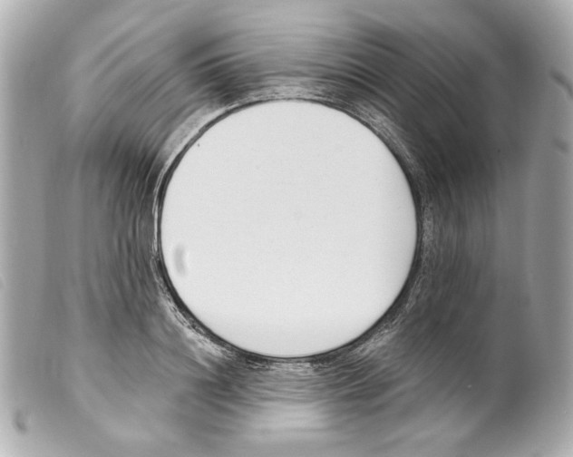 X0000099320844200805301214