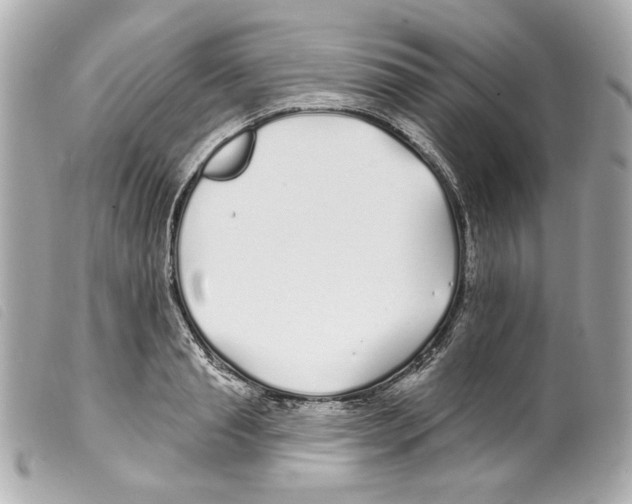 X0000099320845200805301214