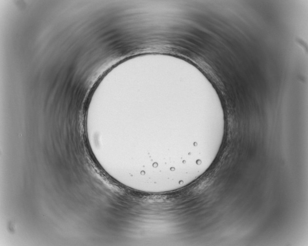 X0000099320846200805301214