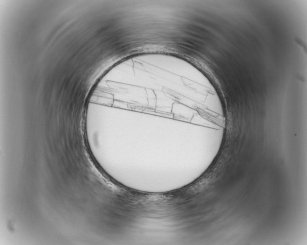 X0000099320847200805301214