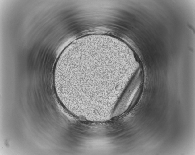 X0000099320850200805301214