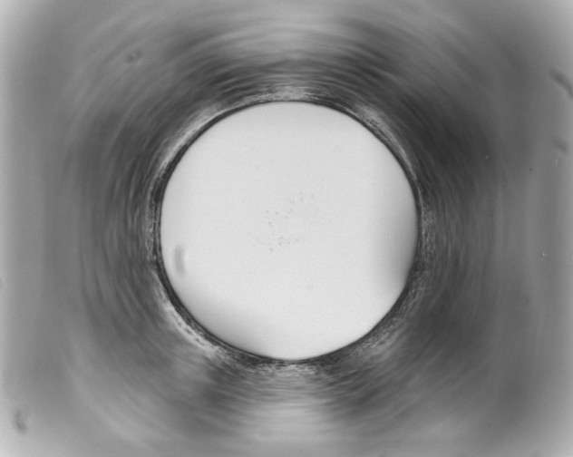 X0000099320851200805301214