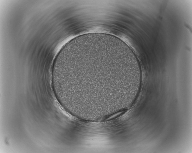 X0000099320854200805301214