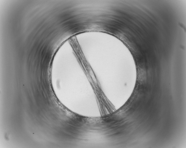 X0000099320856200805301214