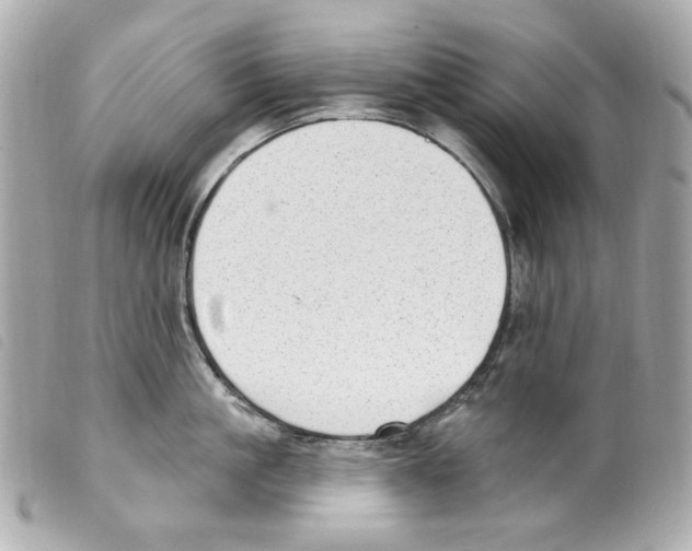 X0000099320861200805301214