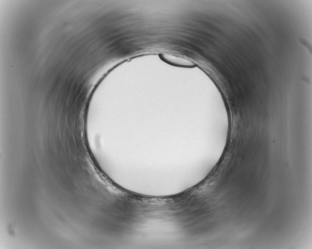X0000099320862200805301214