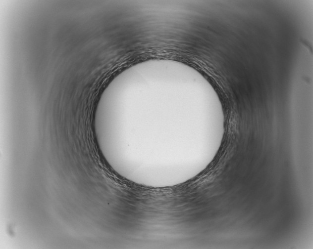 X0000099320865200805301214