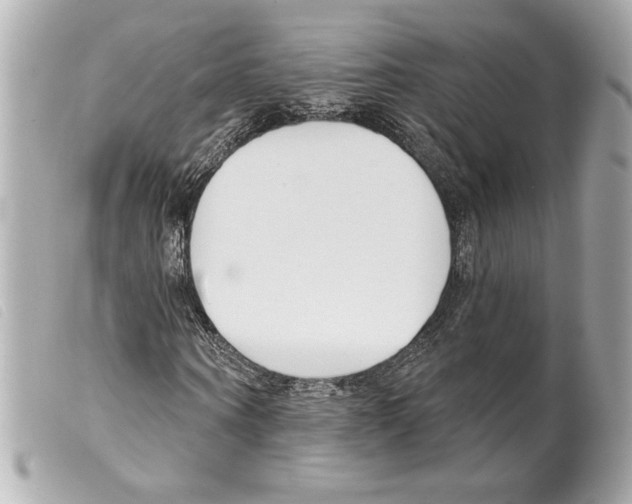X0000099320866200805301214