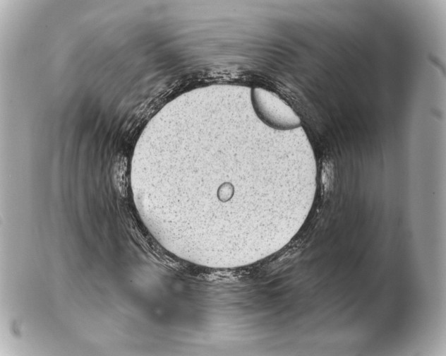 X0000099320867200805301214