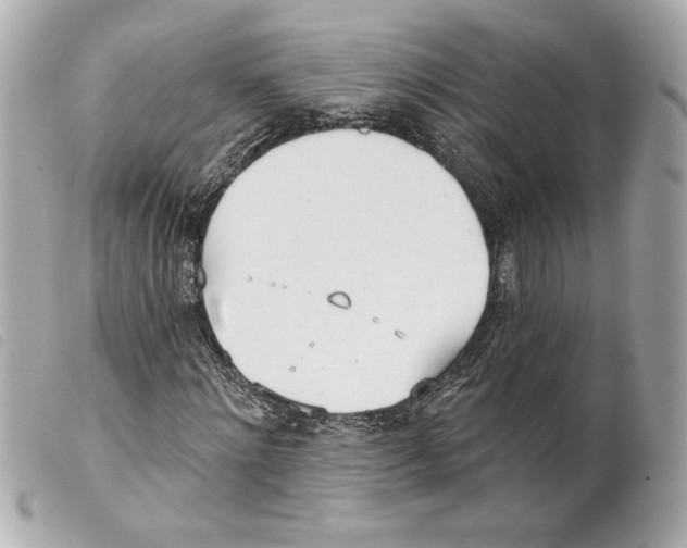 X0000099320868200805301214