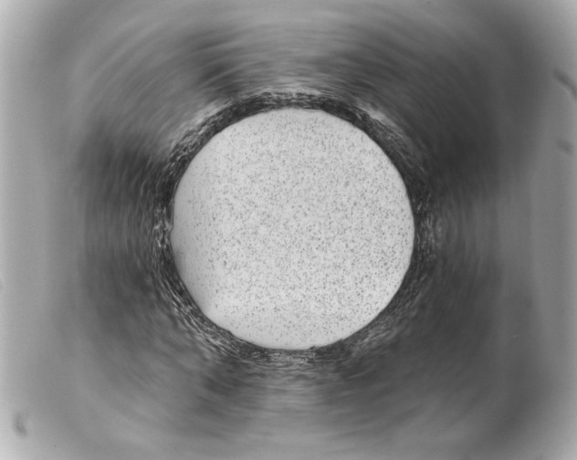 X0000099320870200805301214