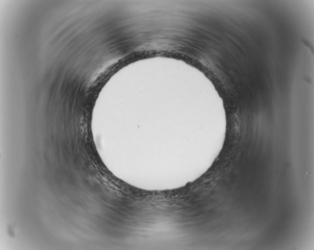 X0000099320872200805301213