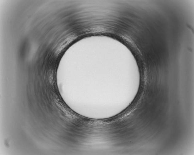 X0000099320873200805301213