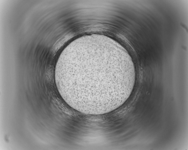 X0000099320874200805301213