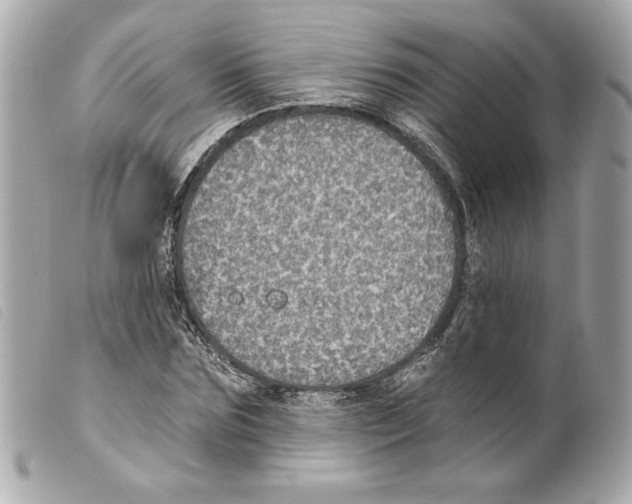 X0000099320875200805301213