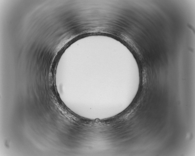 X0000099320876200805301213