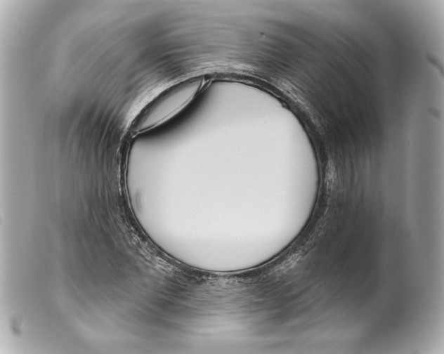 X0000099320877200805301213