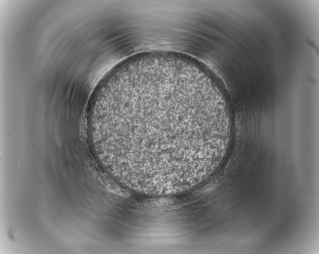 X0000099320879200805301213