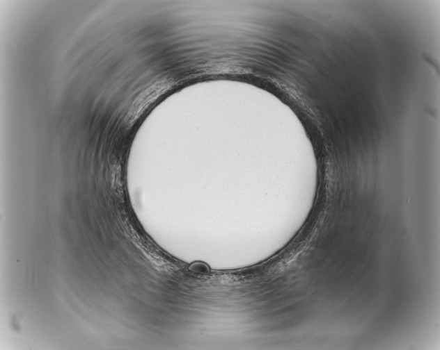X0000099320881200805301213