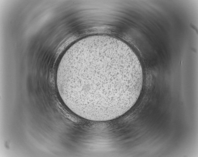 X0000099320882200805301213