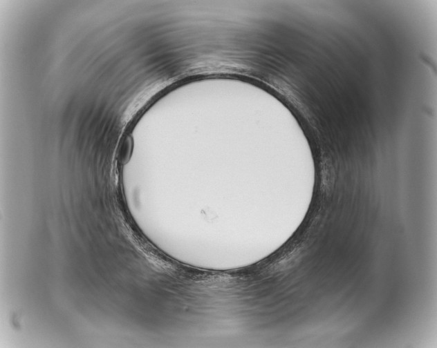 X0000099320885200805301213