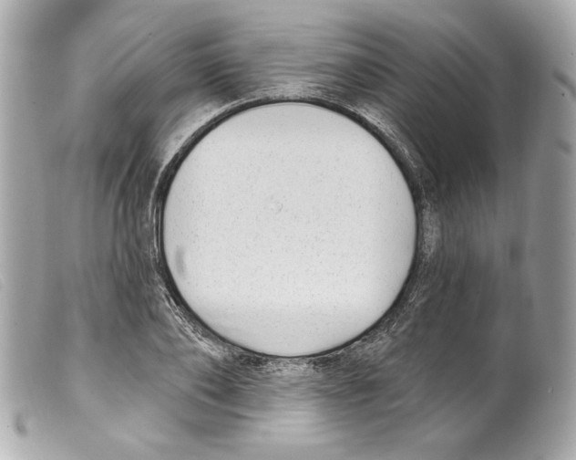 X0000099320886200805301213