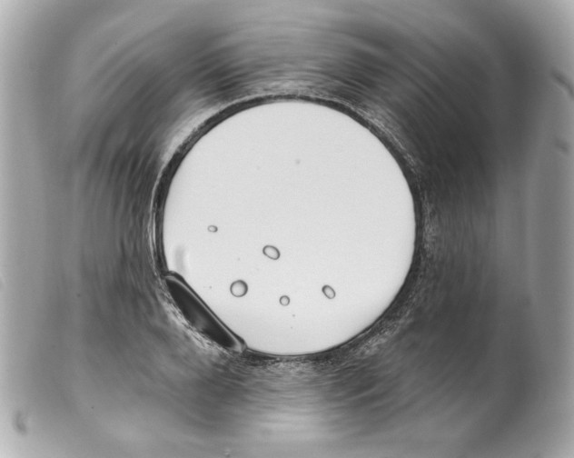 X0000099320888200805301213