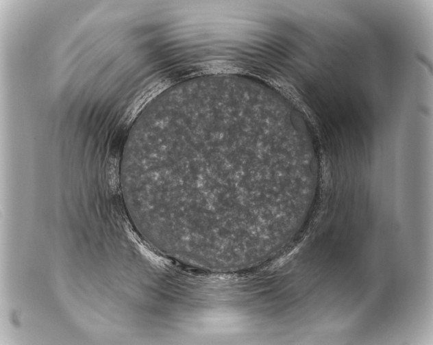 X0000099320889200805301213