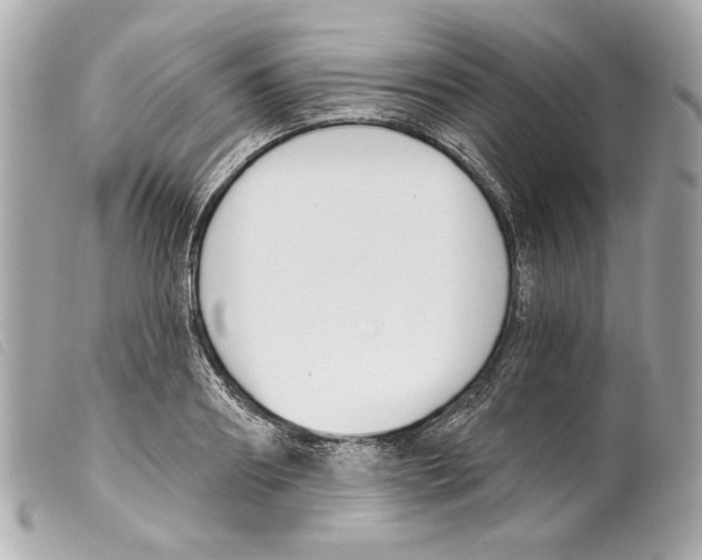 X0000099320890200805301213