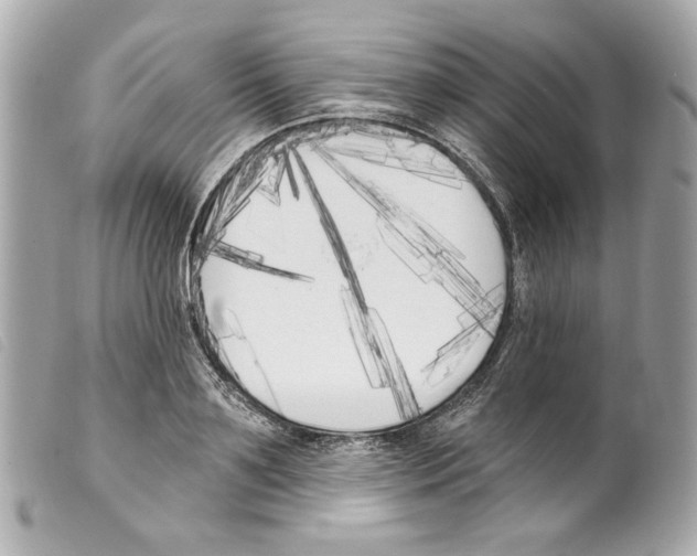 X0000099320891200805301213