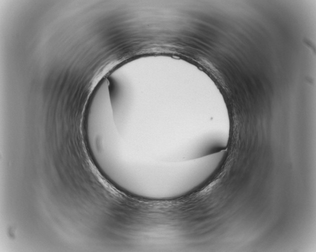 X0000099320893200805301213