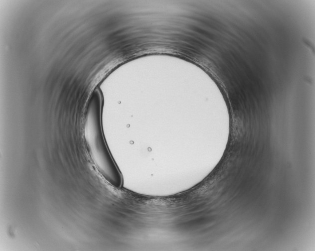X0000099320898200805301213