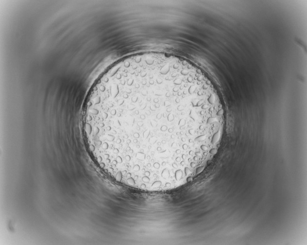 X0000099320899200805301213