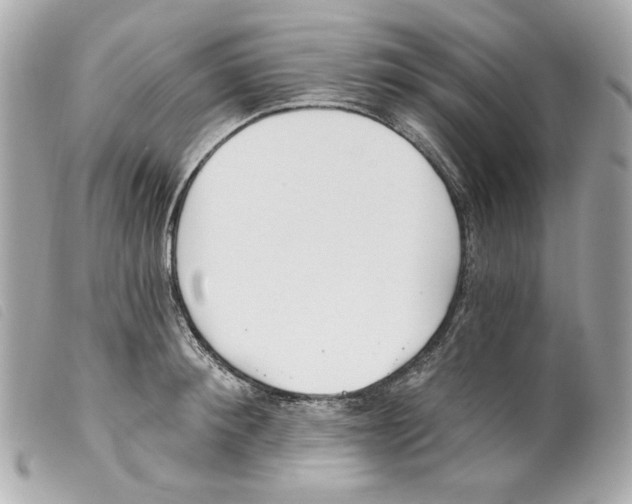 X0000099320900200805301213