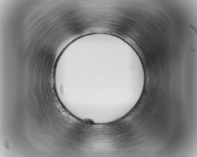 X0000099320904200805301213