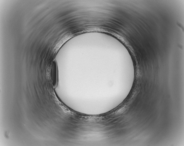 X0000099320905200805301213