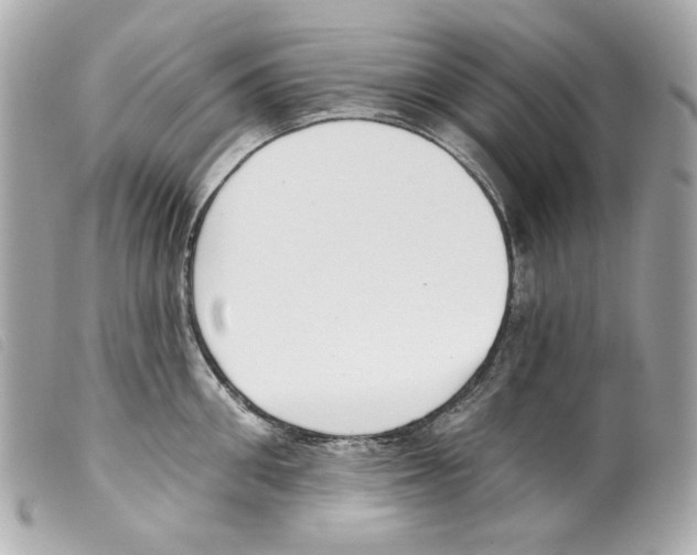 X0000099320906200805301213