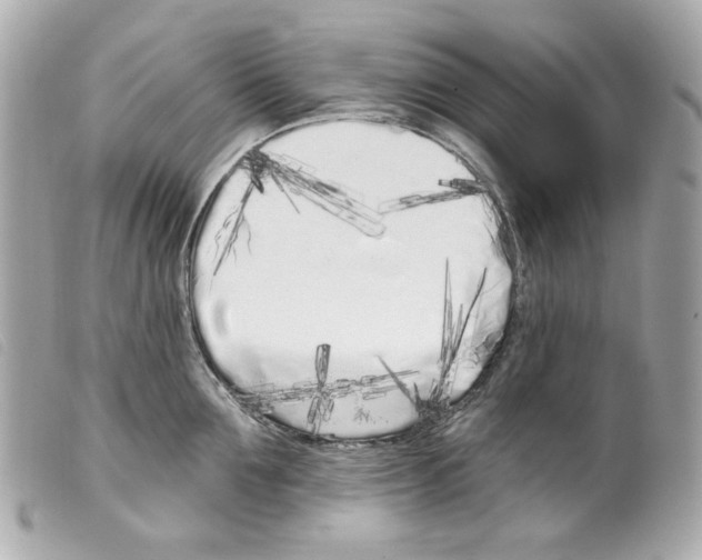 X0000099320907200805301213