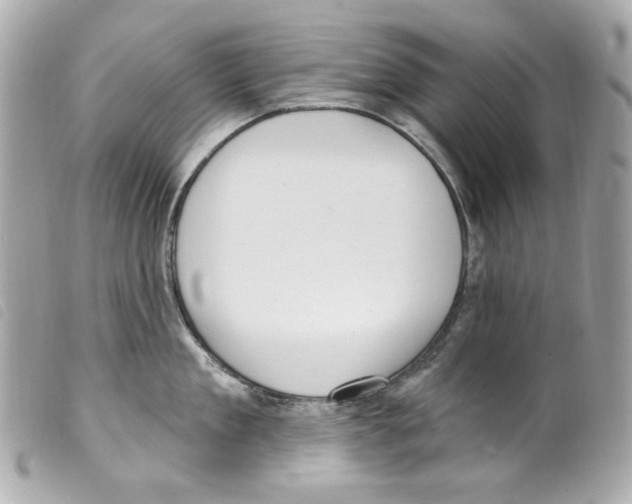 X0000099320909200805301213