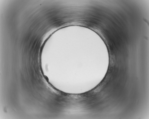 X0000099320910200805301213