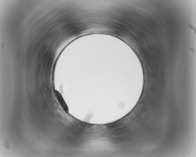X0000099320912200805301213
