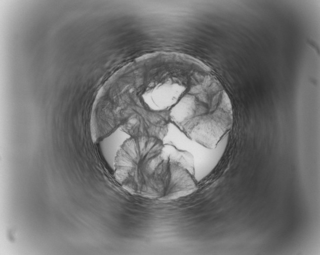 X0000099320913200805301212