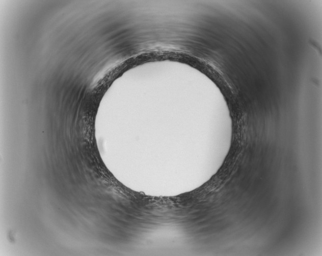 X0000099320919200805301212