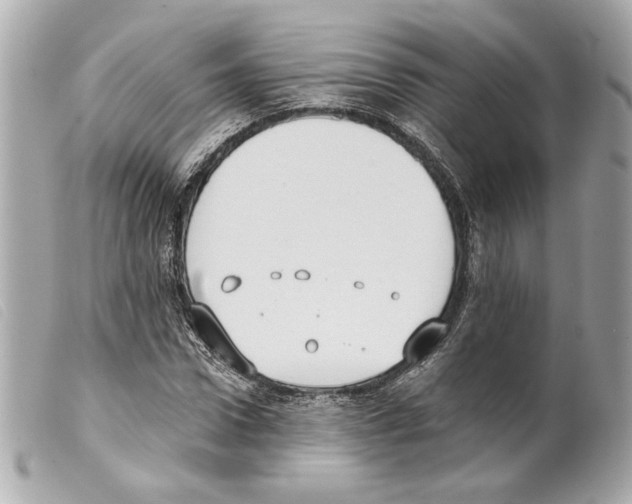 X0000099320922200805301212