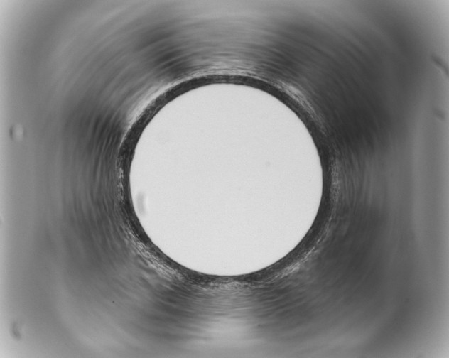 X0000099320926200805301213
