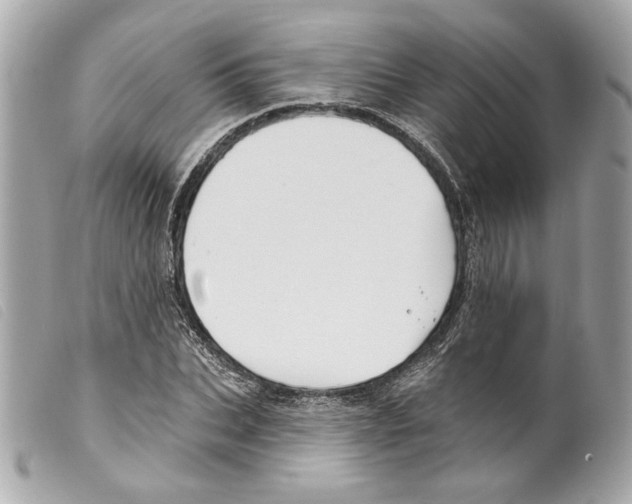 X0000099320927200805301213