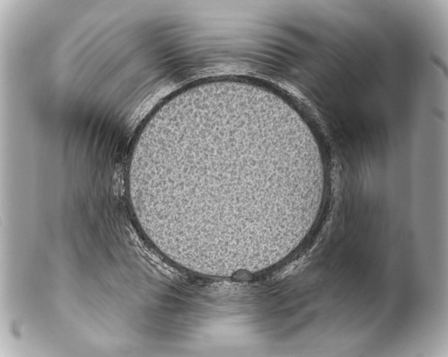 X0000099320929200805301213