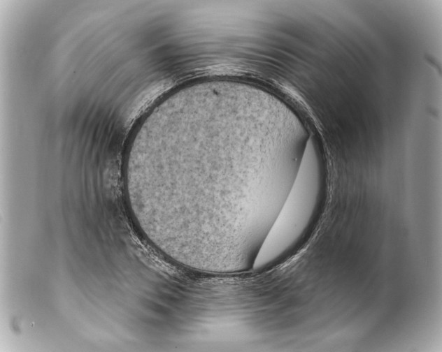 X0000099320930200805301213